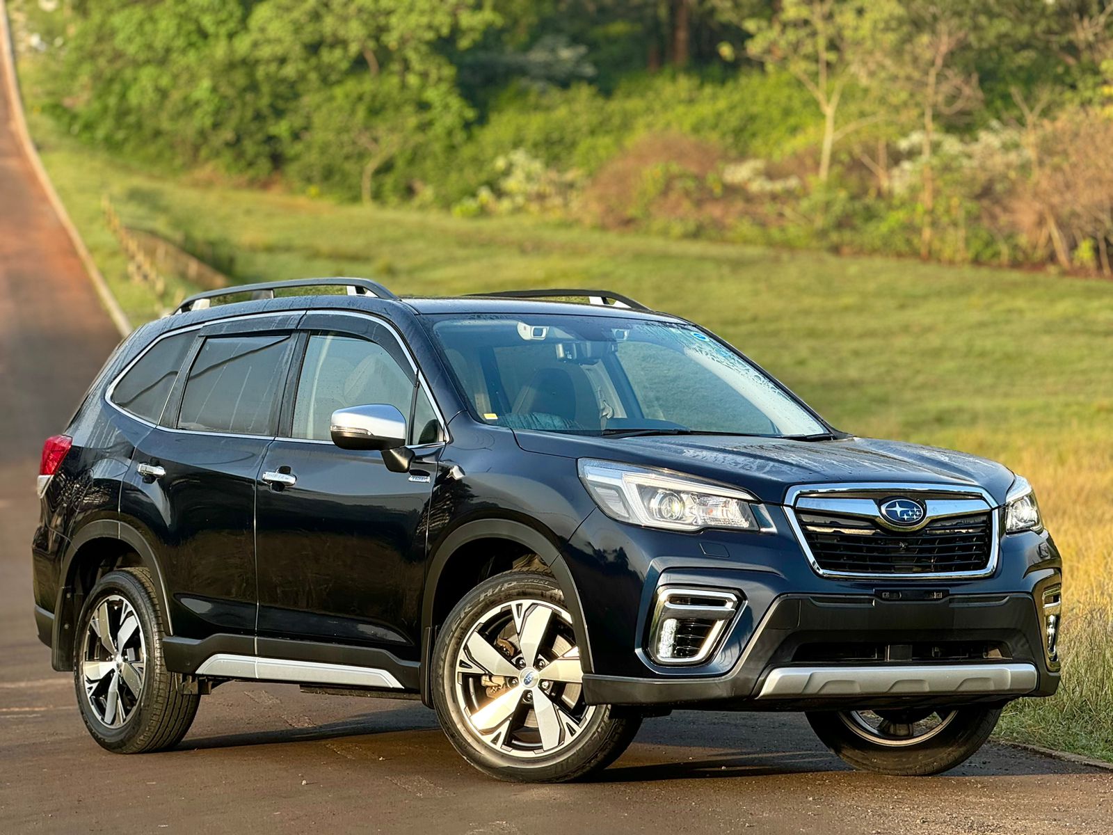 subaru-forester-ske-2019-1678