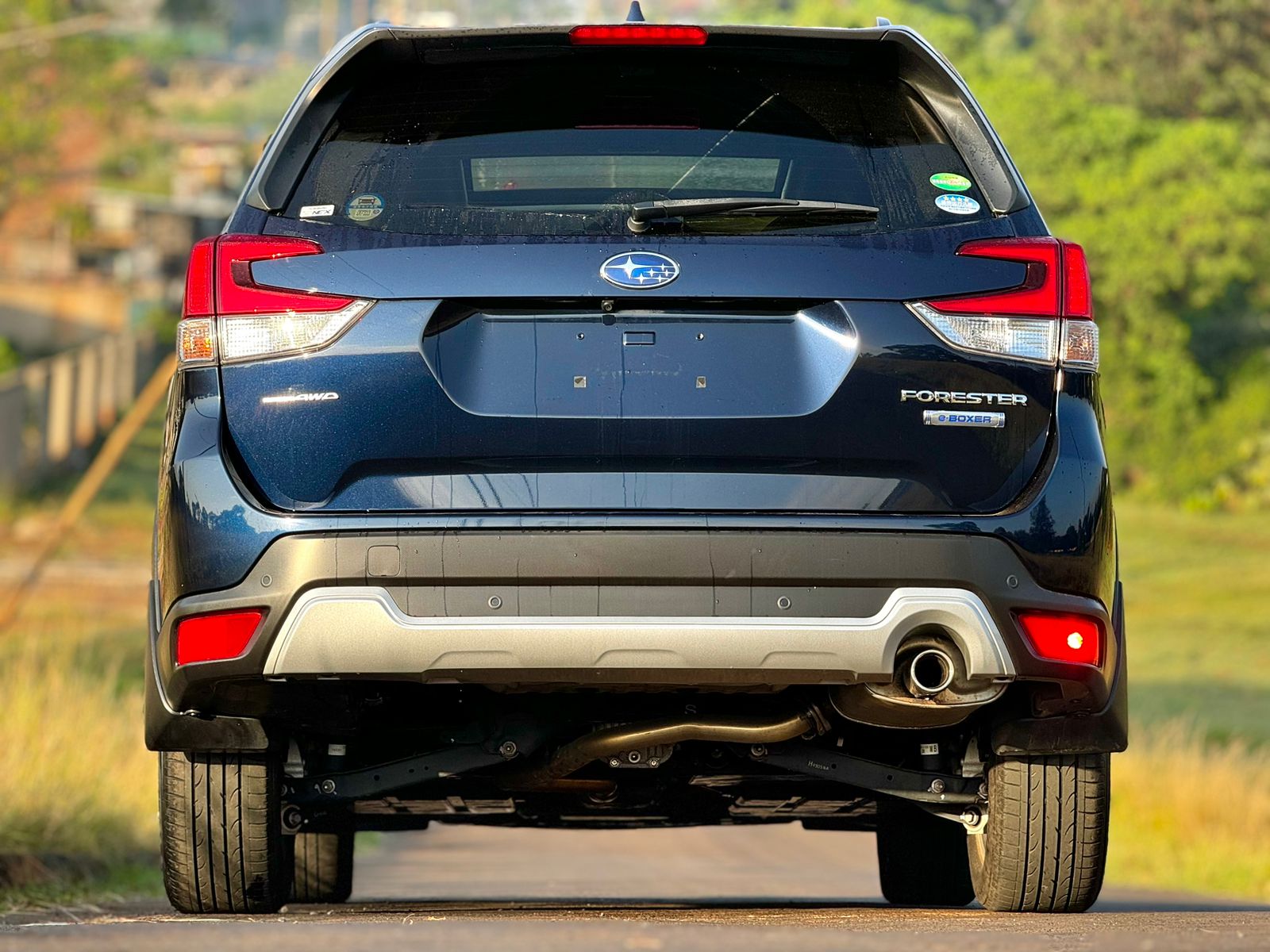 subaru-forester-ske-2019-1678