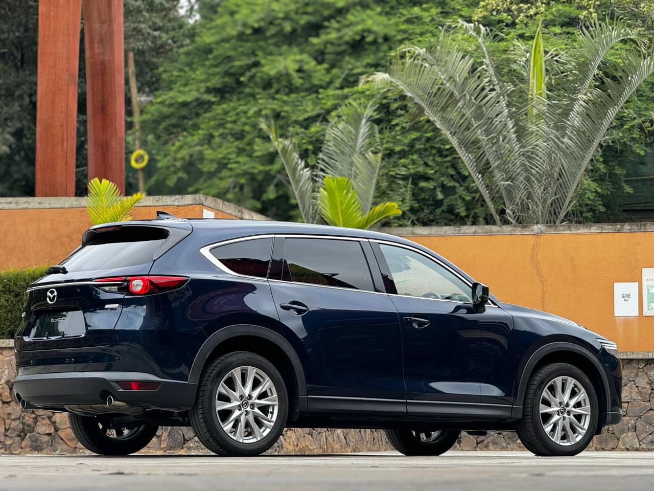 mazda-cx-8-2018-1686