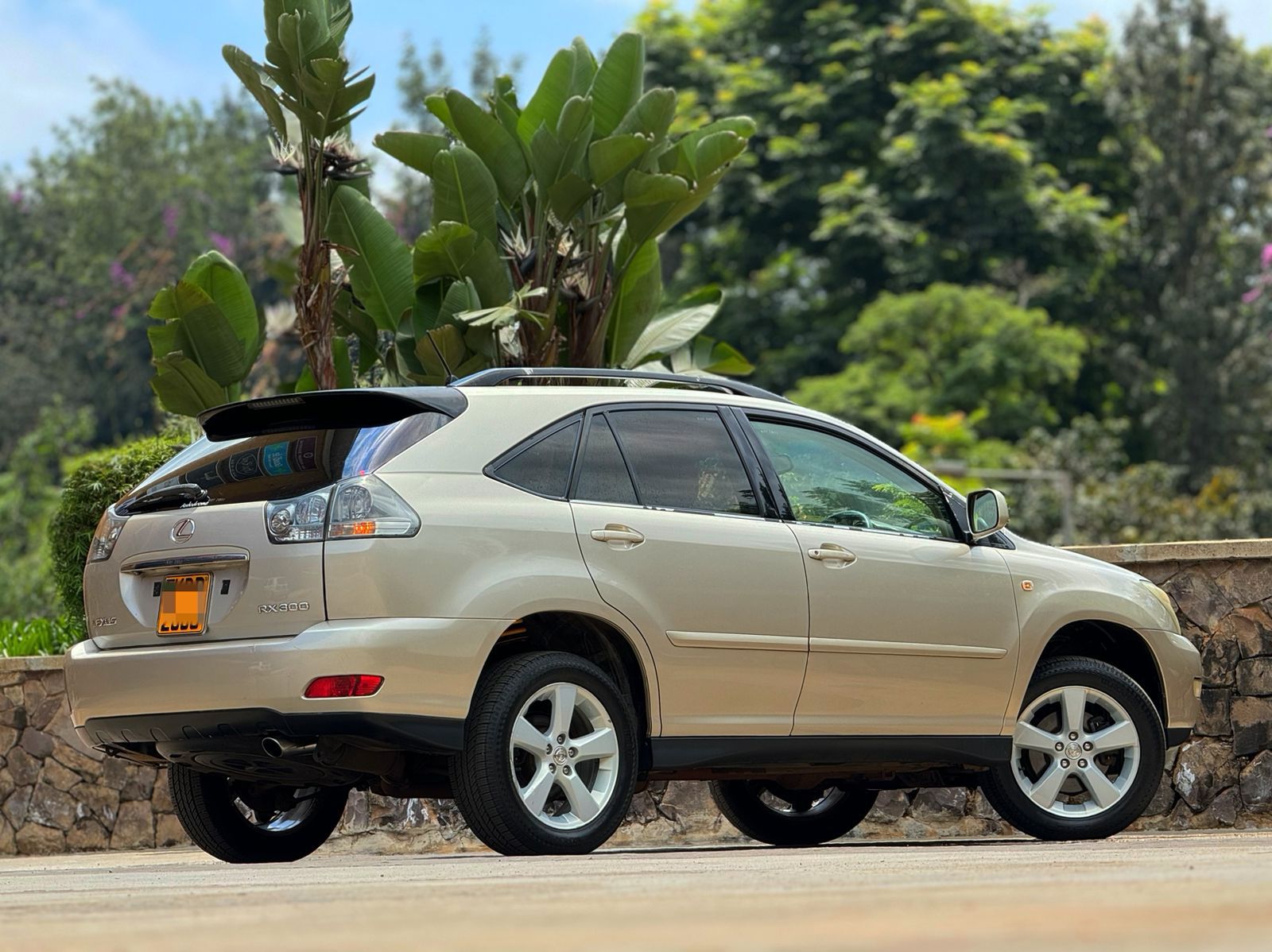 lexus-rx-300-se-2004-1740