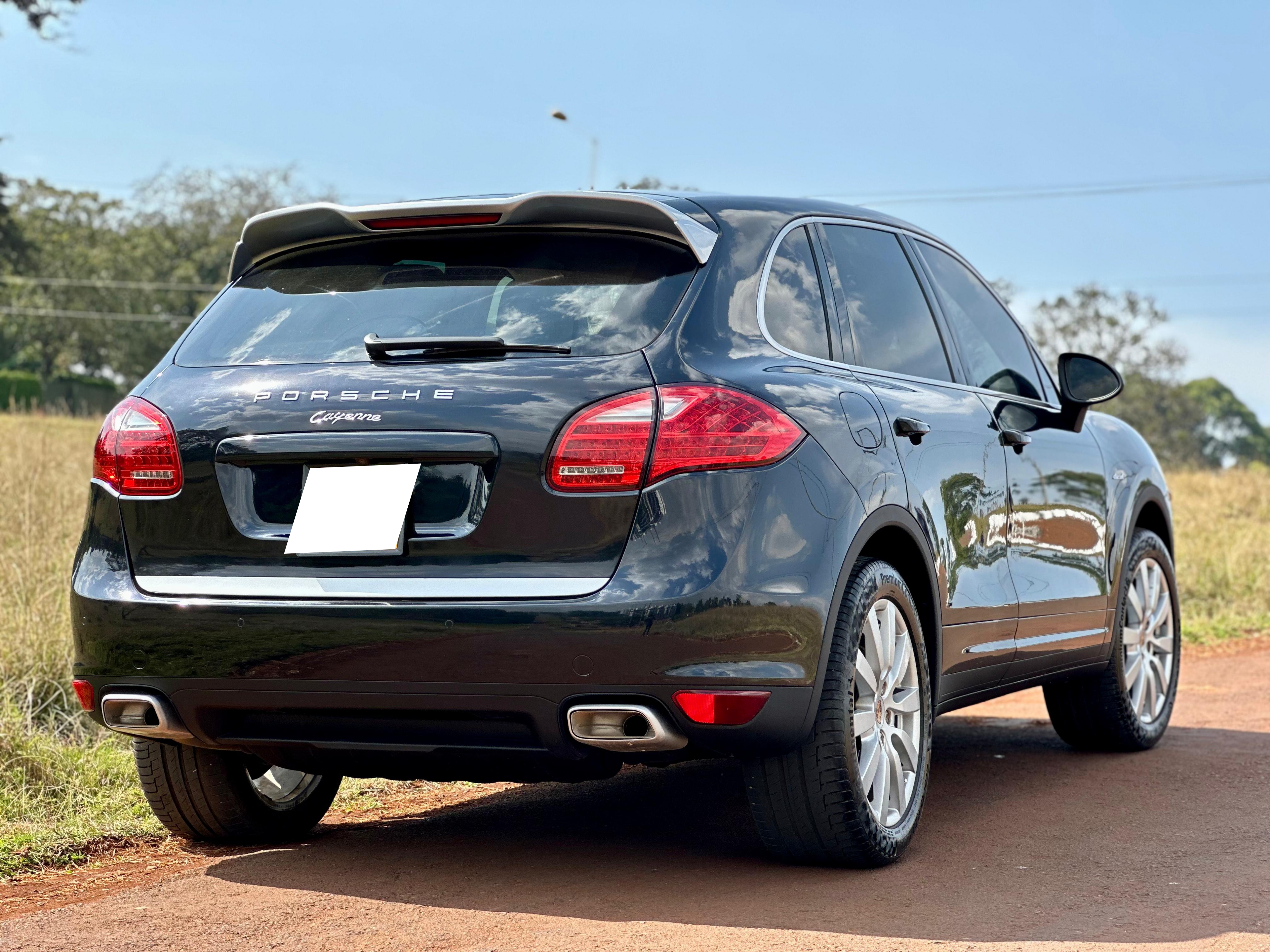 porsche-cayenne-platinum-edition-2014-1794